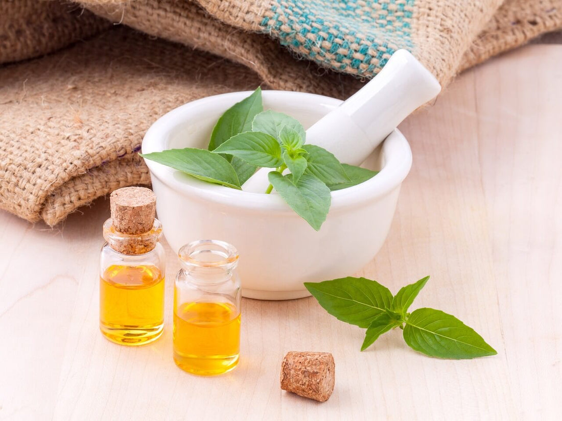 Going Green: Why Plant-Based Ingredients Are the Future of Haircare