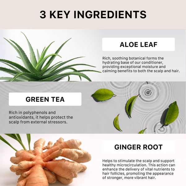 Three key ingredients ACTIIV hair products: aloe leaf, green tea, and ginger root, with images and text descriptions.