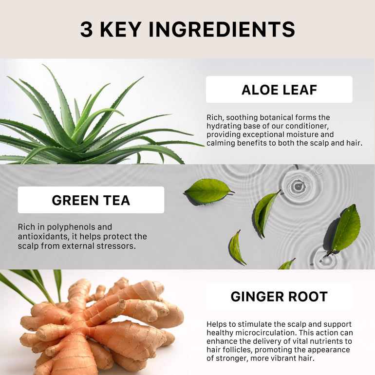 Three key ingredients ACTIIV hair products: aloe leaf, green tea, and ginger root, with images and text descriptions.
