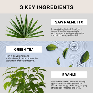 Three key ingredients for hair health displayed with images and descriptions.