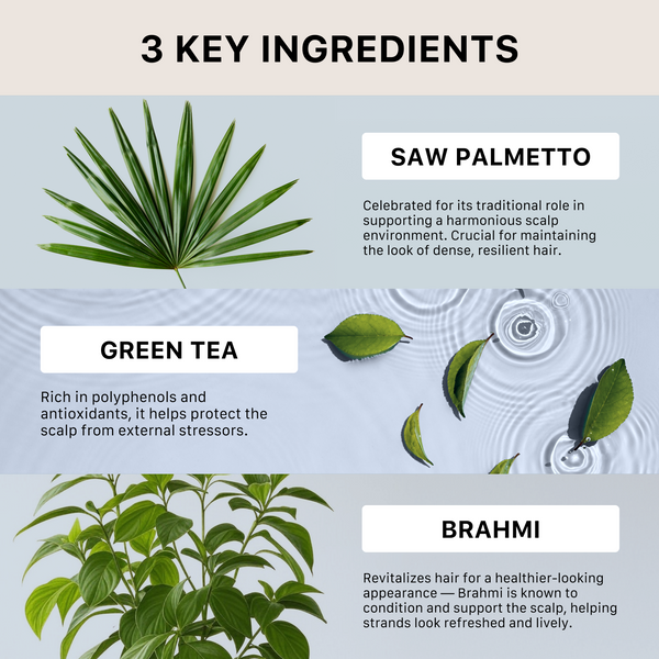 Three key ingredients for actiiv recover men's travel duo with images of saw palmetto, green tea leaves, and brahmi leaves on a light blue background.