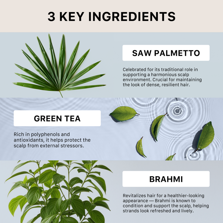 Three key ingredients for actiiv recover men's travel duo with images of saw palmetto, green tea leaves, and brahmi leaves on a light blue background.