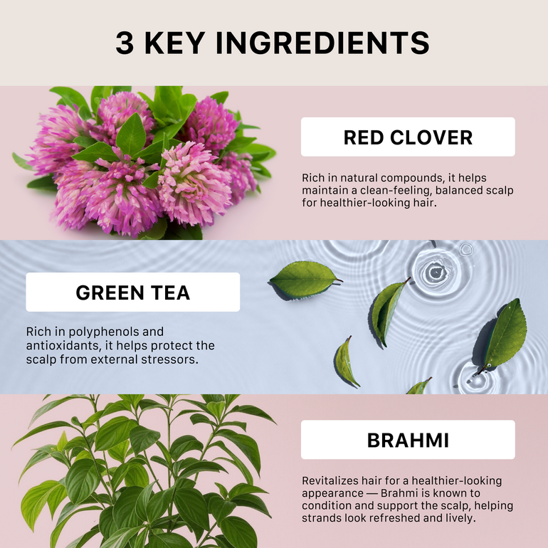 Three key ingredients for hair health with images of red clover, green tea leaves, and brahmi leaves on a pink and blue gradient background.