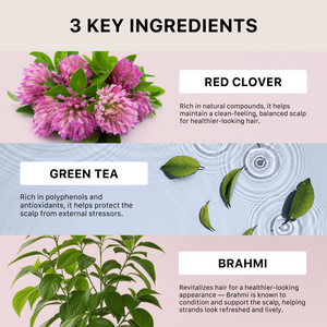 Three key ingredients for ACTIIV Recover for Women with images of red clover, green tea leaves, and brahmi leaves on a pink and blue gradient background.