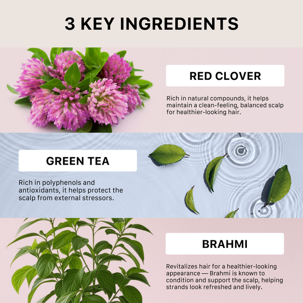 Three key ingredients for ACTIIV Recover for Women with images of red clover, green tea leaves, and brahmi leaves on a pink and blue gradient background.