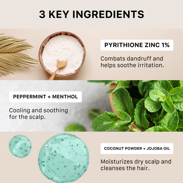 Key ingredients of Remedy shampoo with text labels and images on a beige background.