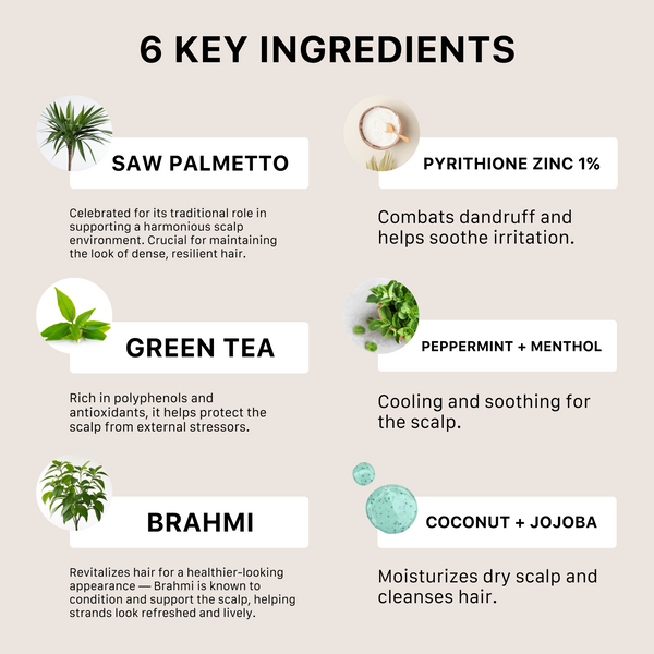 List of 6 key ingredients with brief descriptions on a beige background