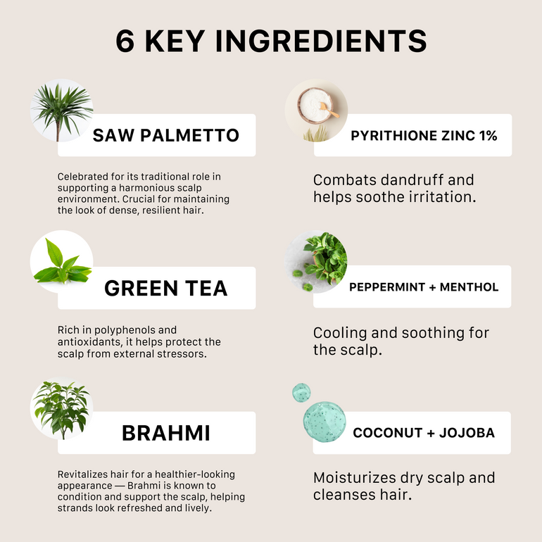 List of 6 key ingredients with brief descriptions on a beige background