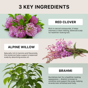 Three key ingredients for hair health with images of red clover, alpine willow, and brahmi on a light green background.