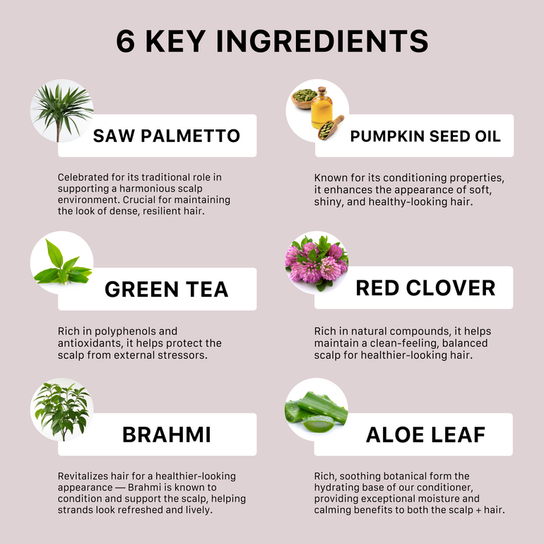 List of 6 key ingredients with images and brief descriptions on a light pink background