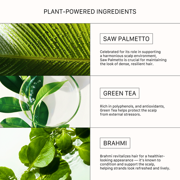 Plant-powered ingredients in ACTIIV Recover Men including Saw Palmetto, Green Tea, and Brahmi for scalp and hair health