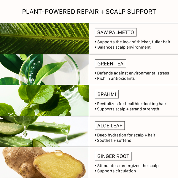 Plant-powered ingredients in ACTIIV Recover Thickening Shampoo and Conditioner for men including saw palmetto, green tea, brahmi, aloe leaf, and ginger root for scalp support and fuller-looking hair.
