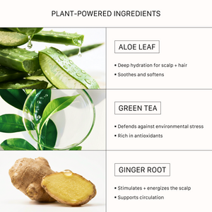 ACTIIV Recover Thickening Conditioner features plant-powered ingredients including aloe leaf, green tea, and ginger root to hydrate the scalp and hair, support circulation, defend against environmental stress, and promote healthier-looking fuller hair.