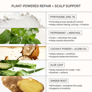 ACTIIV Remedy Shampoo key ingredients including pyrithione zinc, peppermint, menthol, aloe vera, coconut oil, jojoba oil, and ginger root for scalp care and flake control