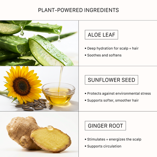ACTIIV Renew Healing Conditioner features plant-powered ingredients including aloe leaf, sunflower seed, and ginger root to deeply hydrate hair and scalp, support softer smoother strands, protect against environmental stress, and promote healthier-looking hair.