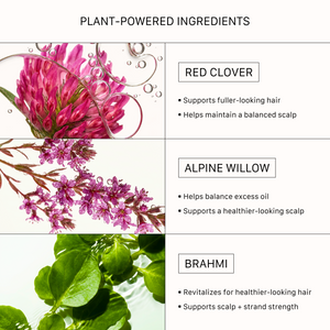 ACTIIV Renew Healing Shampoo features plant-powered ingredients including red clover, alpine willow, and brahmi to support fuller-looking hair, help balance excess oil, strengthen strands, and promote a healthier-looking scalp and hair.
