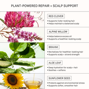 ACTIIV Renew Healing Shampoo and Conditioner plant-based hair repair ingredients including red clover, alpine willow, brahmi, aloe leaf, and sunflower seed to support scalp hydration, smoother hair, softness, and stronger-looking strands.
