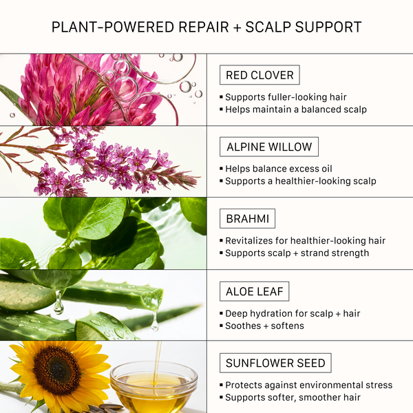 ACTIIV Renew Healing Shampoo and Conditioner plant-based hair repair ingredients including red clover, alpine willow, brahmi, aloe leaf, and sunflower seed to support scalp hydration, smoother hair, softness, and stronger-looking strands.