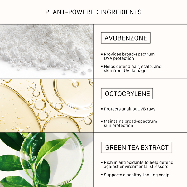 ACTIIV SPF 30 key ingredients infographic detailing the UV protection and antioxidant benefits of Avobenzone, Octocrylene, and Green Tea Extract for hair and scalp health.