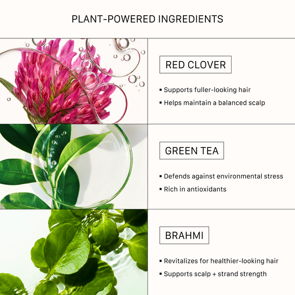 ACTIIV Recover Women’s Thickening Shampoo key plant-powered ingredients including red clover, green tea, and brahmi to support fuller-looking hair, healthier-looking strands, scalp balance, and antioxidant protection for thinning hair.