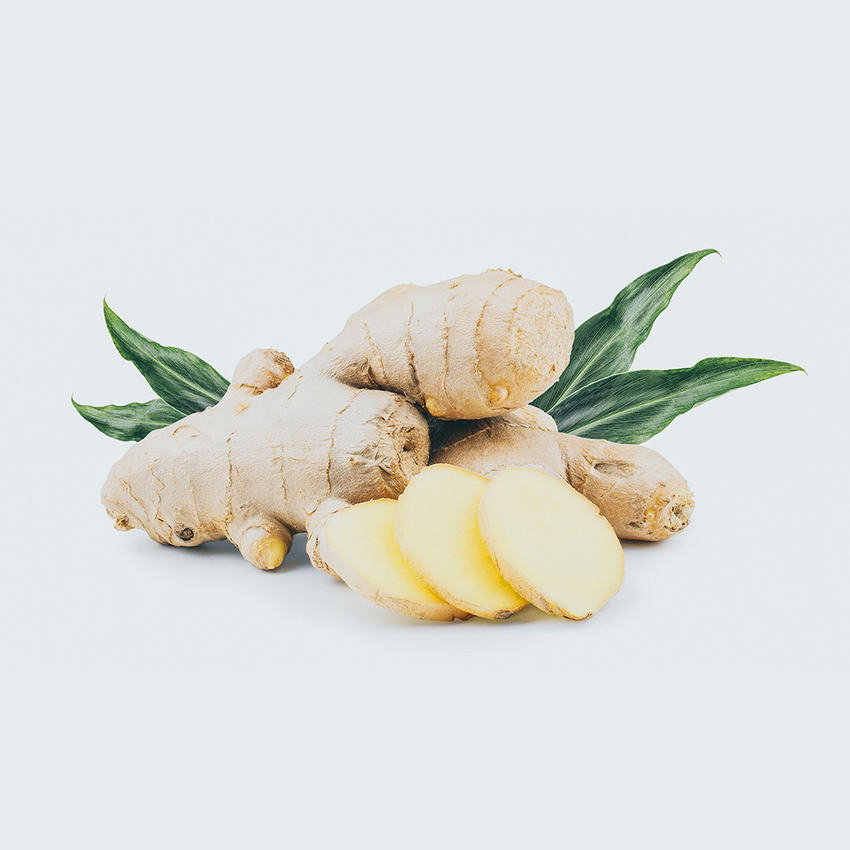 Ginger Root Extract