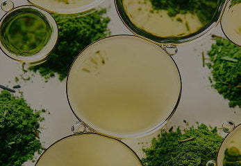 COLD-PRESSED, PLANT-POWERED ACTIVES