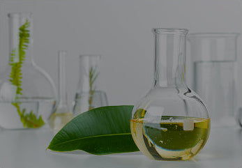 INTENTIONAL FORMULATION
