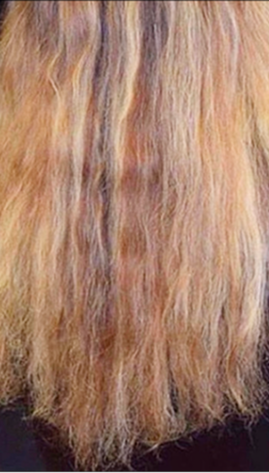 Before photo - dry, damaged-looking hair