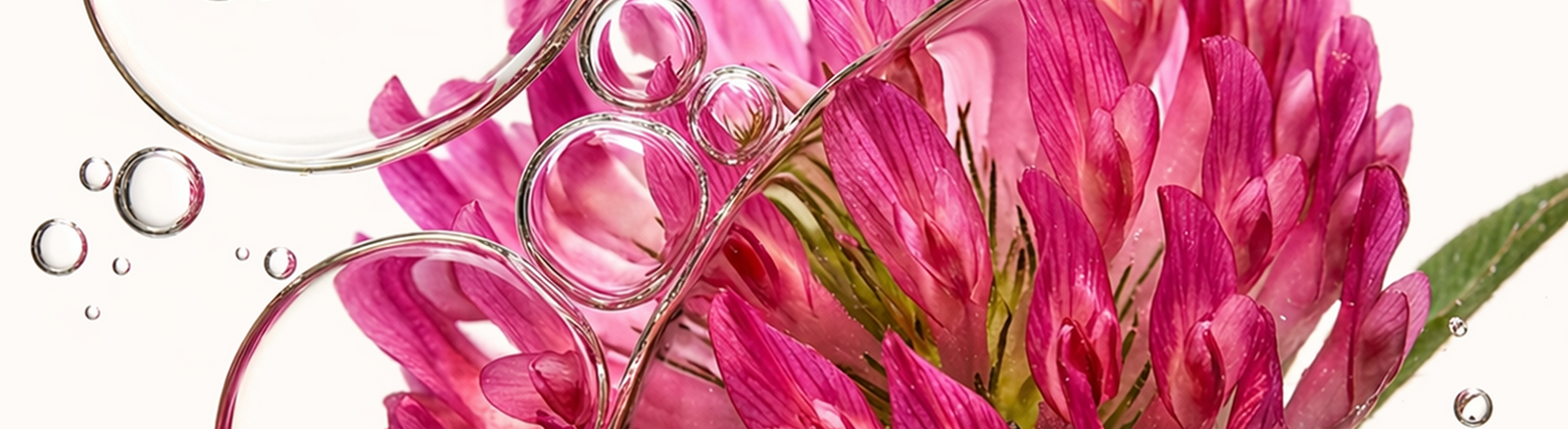 Vibrant pink botanical flowers surrounded by clear oil droplets, representing plant-based ingredients in ACTIIV hair care.