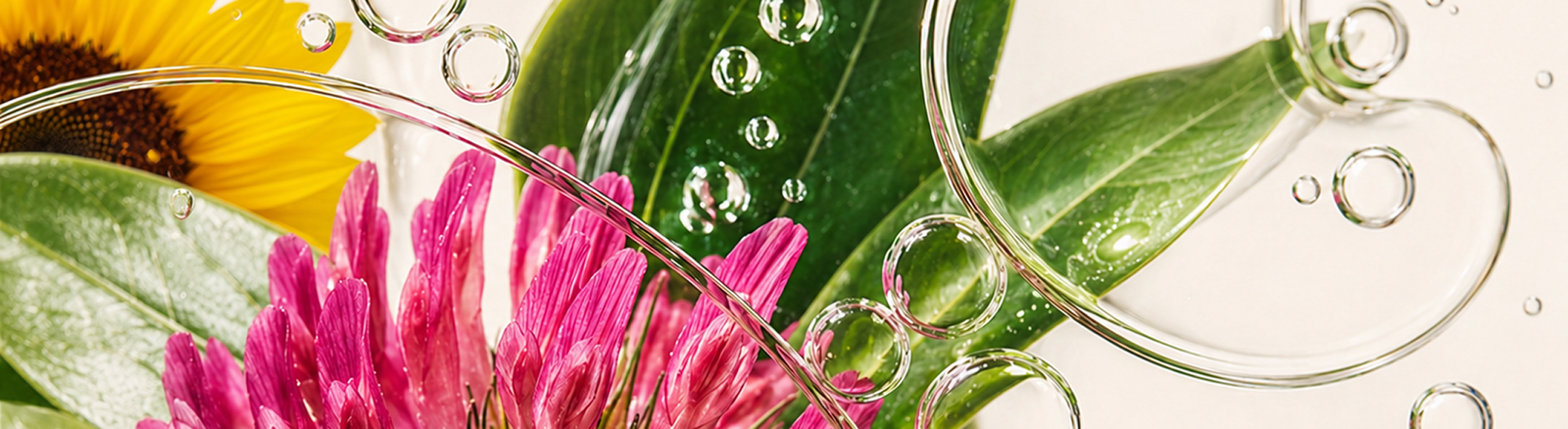 Pink flowers, green botanical leaves and sunflower surrounded by clear oil droplets, representing plant-based ingredients in nourishing hair care.