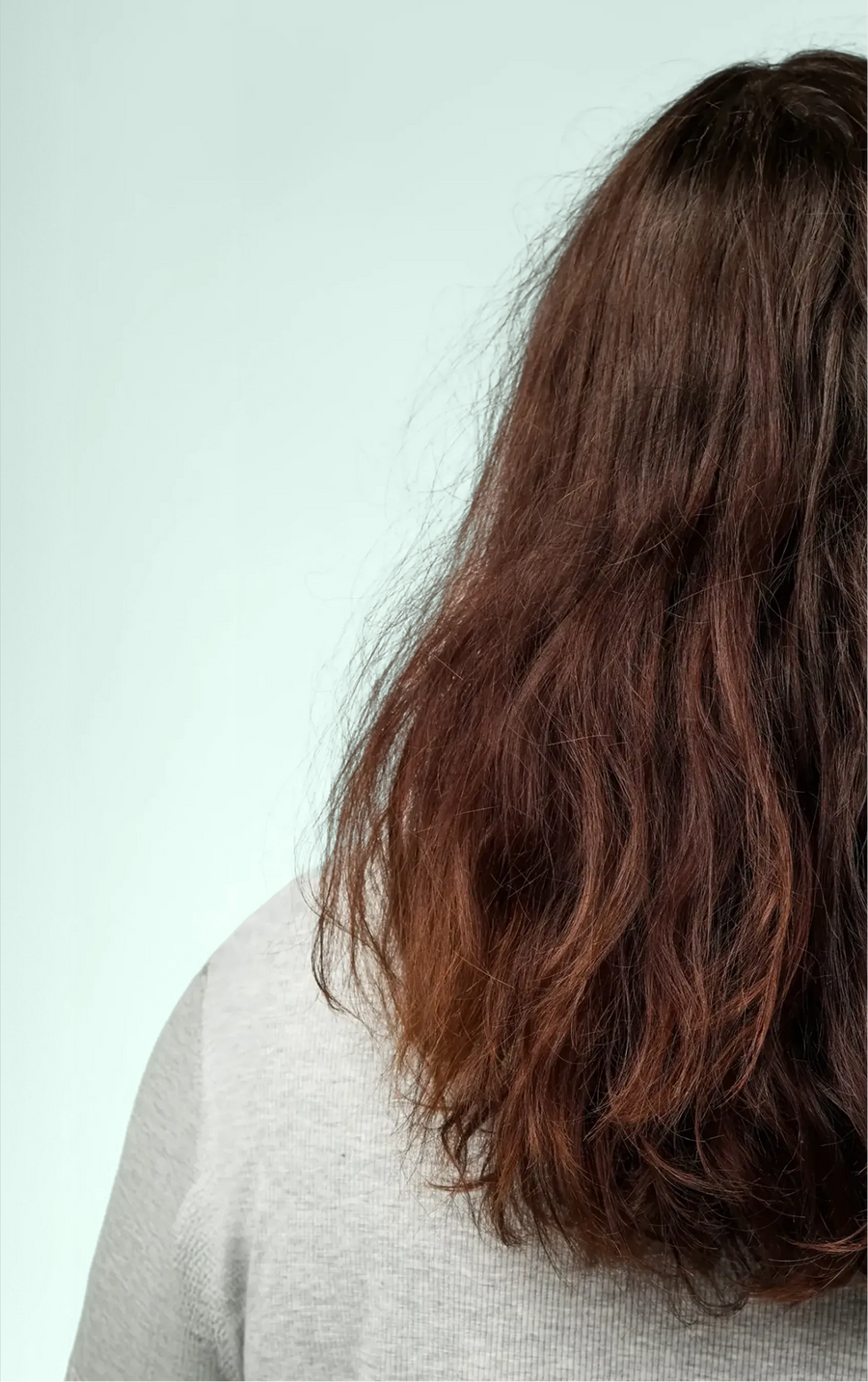 Back view of brunette hair with visible dryness, frizz and uneven texture before using ACTIIV INTEGRITYrx hair care.